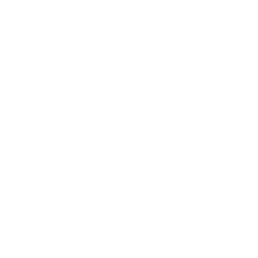 rider-icon