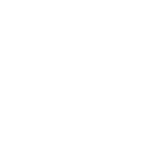 security-check