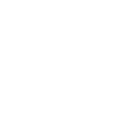 house-pain-icon